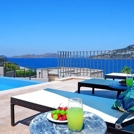 5 Bedroom Luxury With Private Pool And Private In Bodrum-gumusluk 2 فيلة